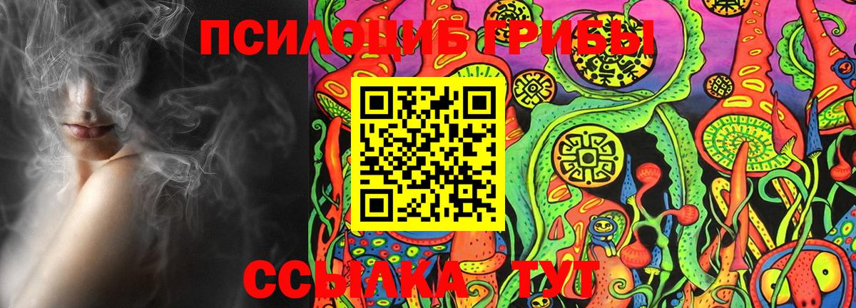 Псилоцибиновые грибы Psilocybine cubensis  Галлюциногенные грибы Cubensis  Вход с VPN  Озёрск 